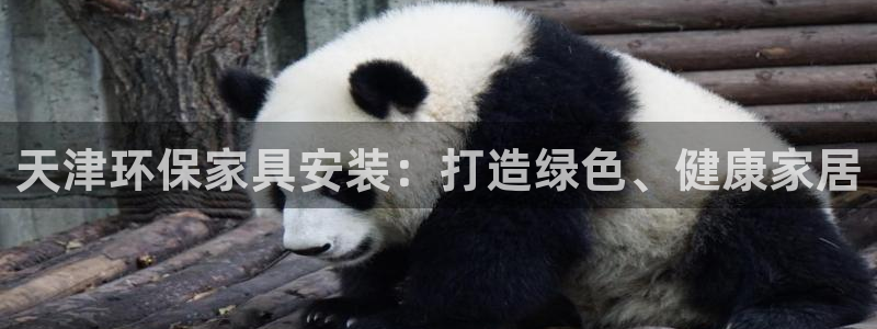 沐鳴2平臺(tái)登錄入口：天津環(huán)保家具安裝：打造綠色、健康家居